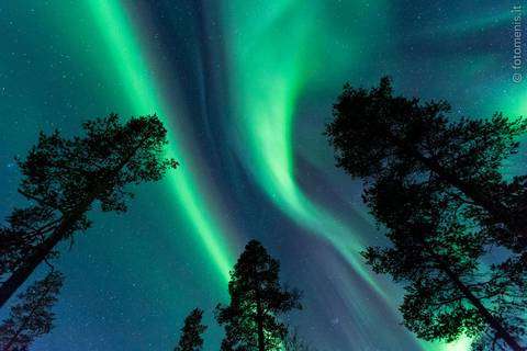 Aurora boreale in Lapponia (foto menis)