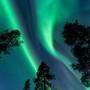 Aurora boreale in Lapponia (foto menis)