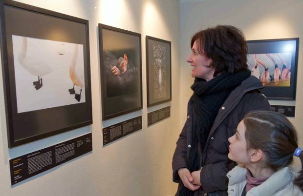 Visitatori all'edizione 2012 della mostra Wildlife Photographer of the Year, aperta al pubblico fino all'8 maggio. Fonte: Forte di Bard.